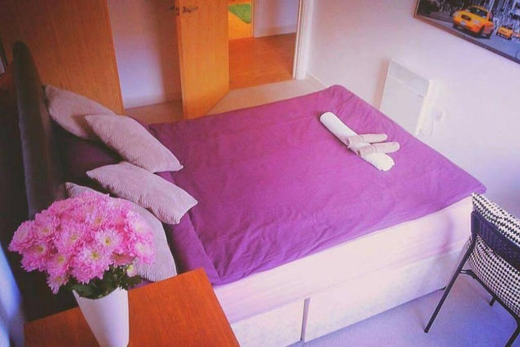 Superhost 1 Bedroom Flat 15 Mins To Center,zone 2 Appartamento