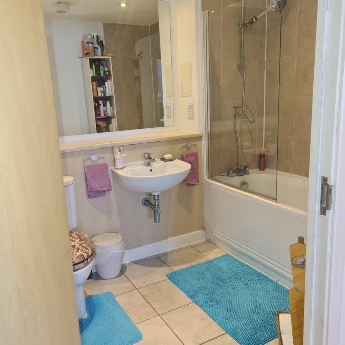 Superhost 1 Bedroom Flat 15 Mins To Center,zone 2 Appartamento *